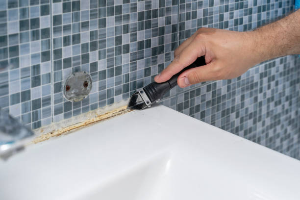 Best Localized Mold Remediation (e.g., coastal areas, humid climates) in Crystal, MN